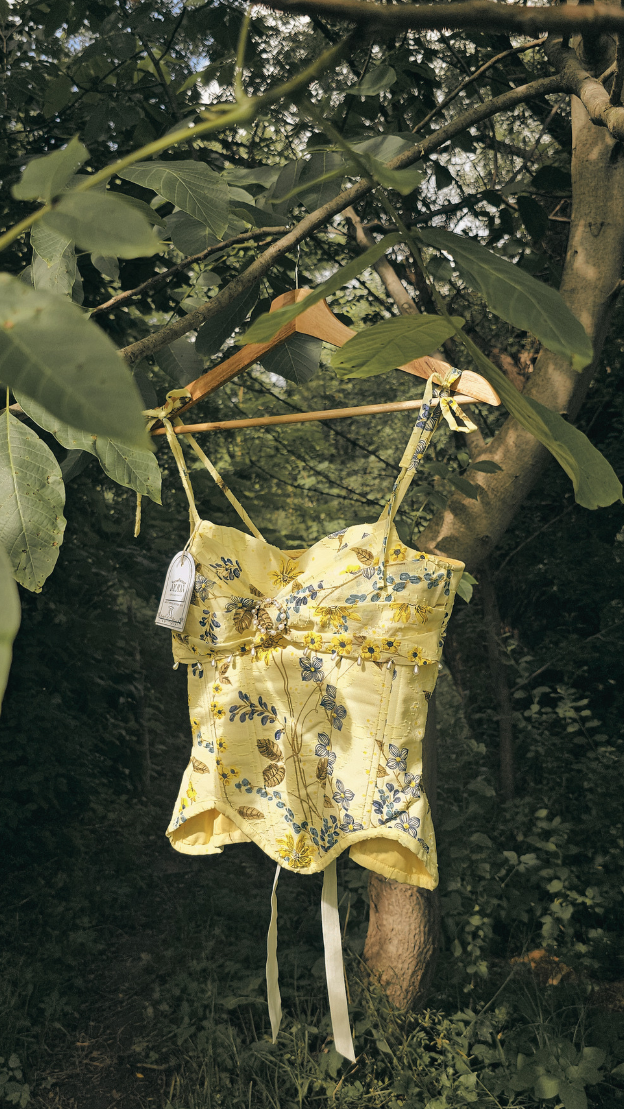 Fairy corset